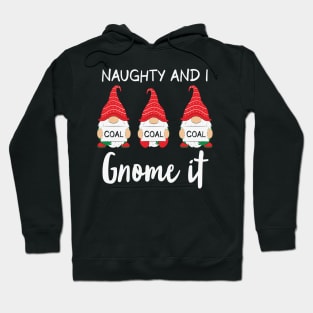 Naughty And I Gnome It Christmas Gnomes Funny Pajama Hoodie